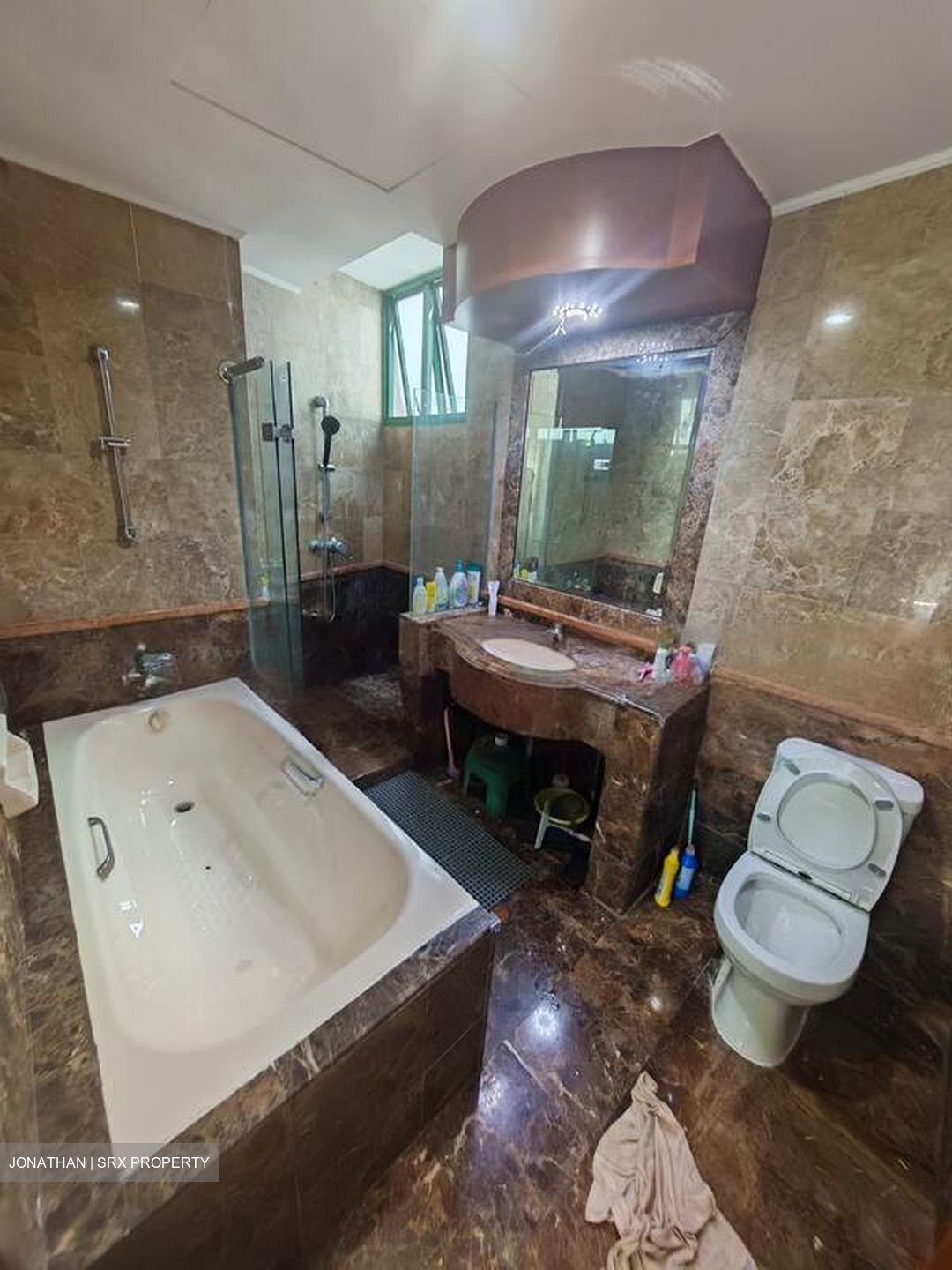 Signature Park (D21), Condominium #457418651